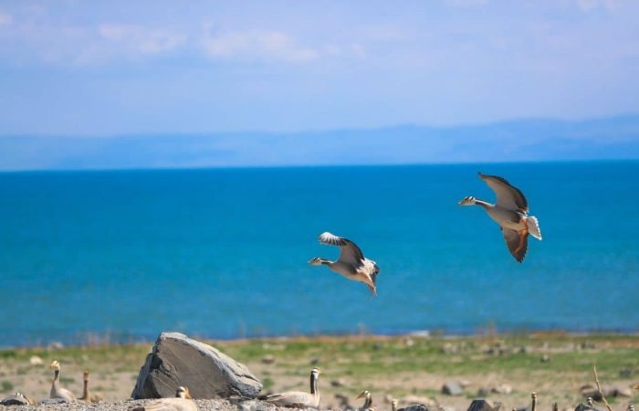 12 Days Qinghai And Gansu Exploration